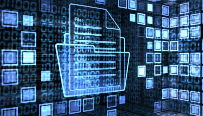 Policy and Documentation Support