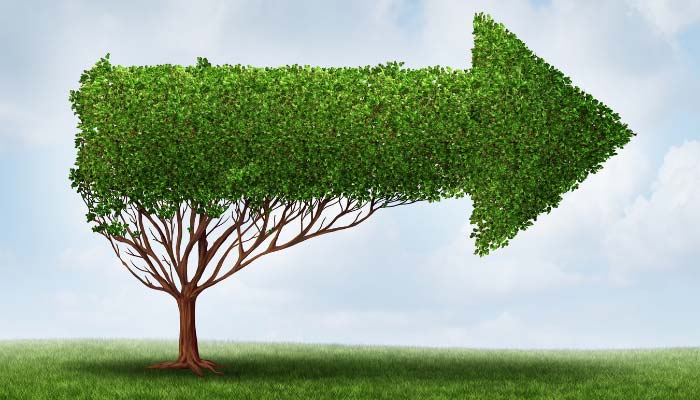 Regulatory Guidance and Training