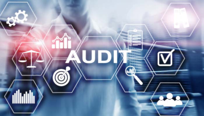 Post-Audit Support