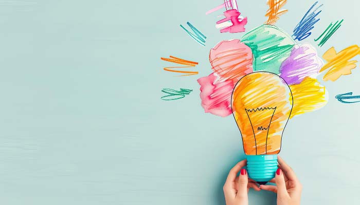 Policy and Framework Development